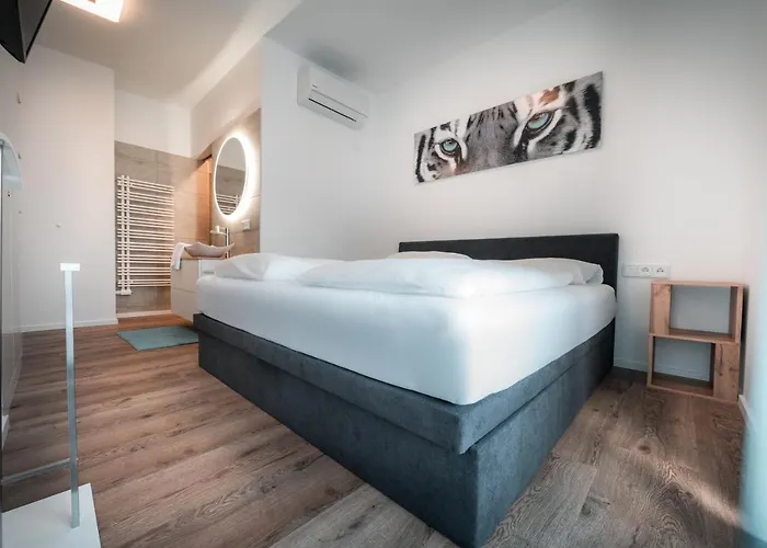 公寓 Conrad By Schladming-appartements 斯拉德明